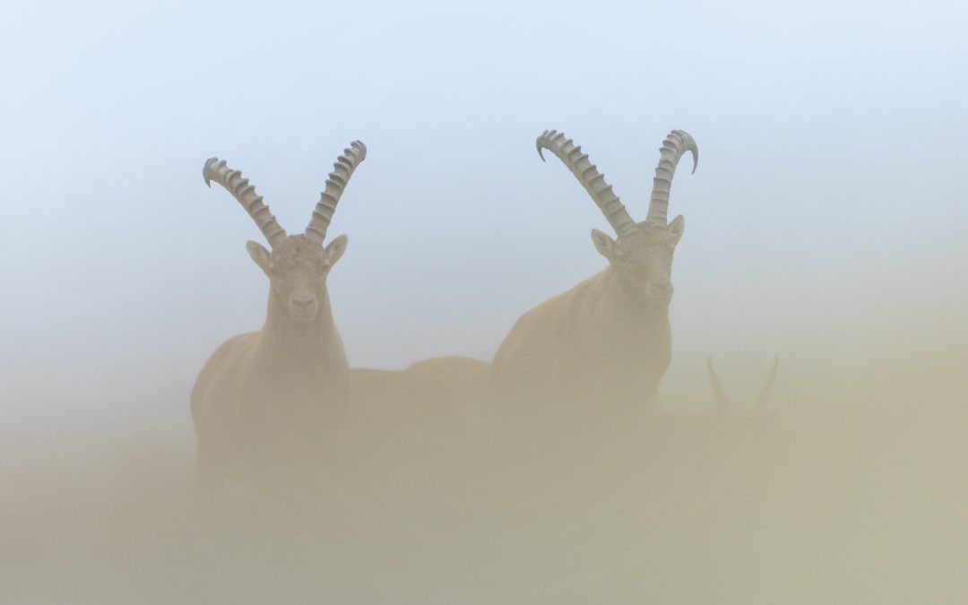 Ombre nell’autunno