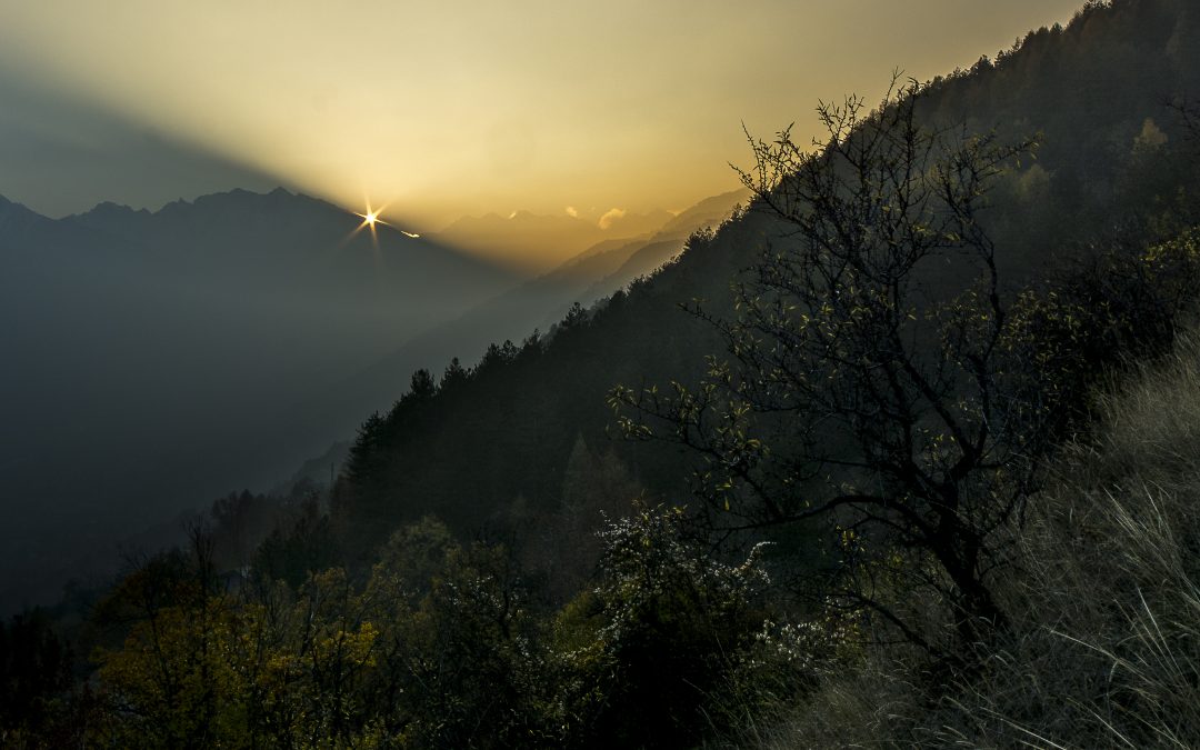 Come un’eclissi di sole