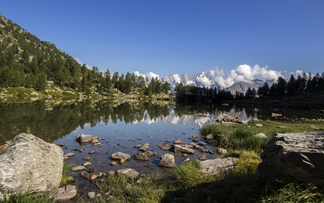 L’eterna lotta tra luce e ombra