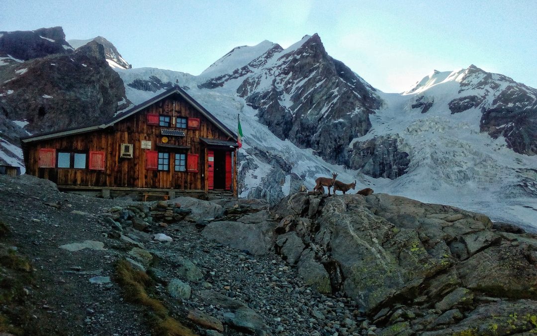 All’ombra dell’ultimo sole