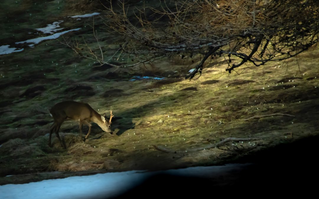 Senza ombra di dubbio