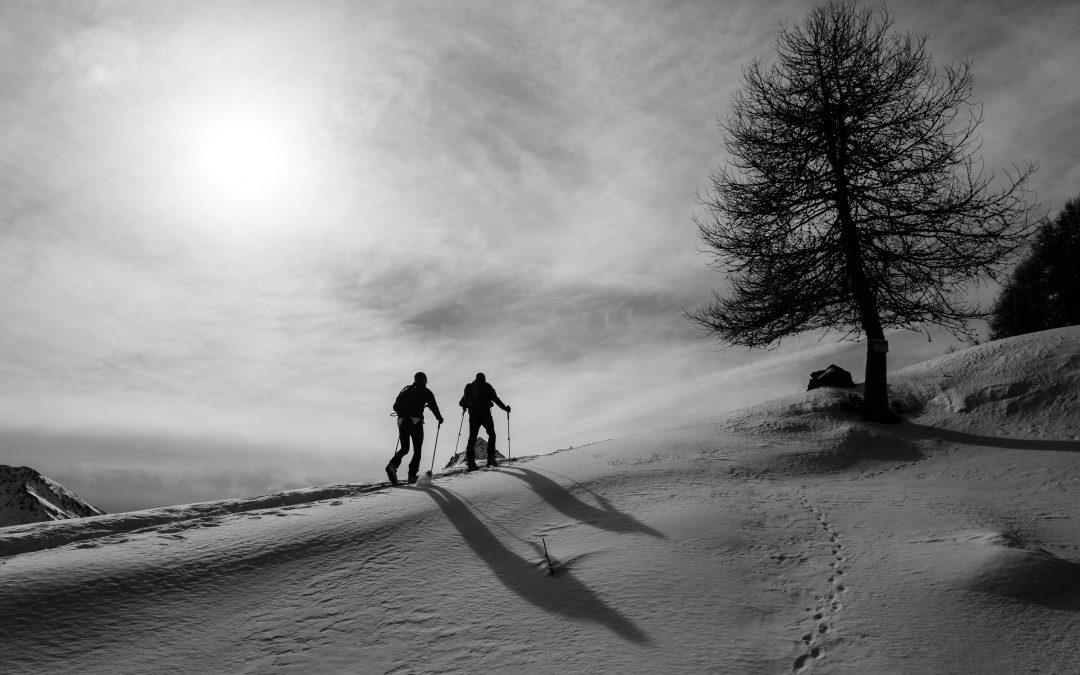 Compagne effimere…