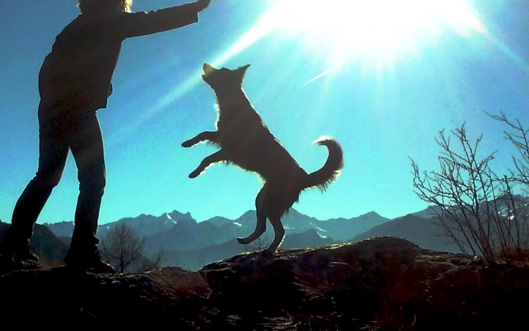 Giochi di luce e d’Aria