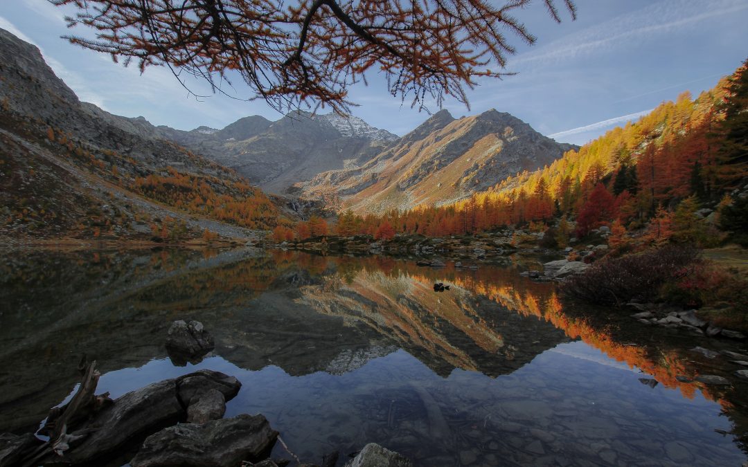 Ombre e riflessi in quel del lago d’Arpy