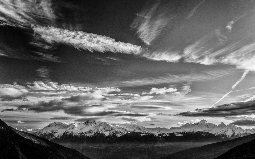 Cielo d’ombra