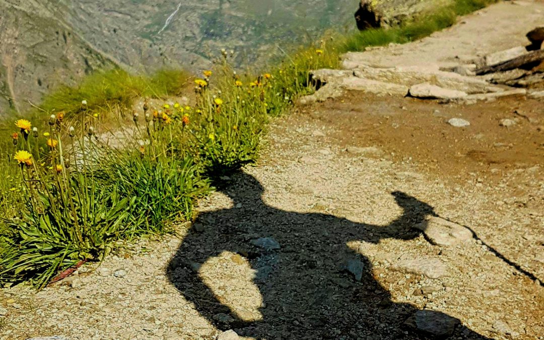 Non siamo mai soli