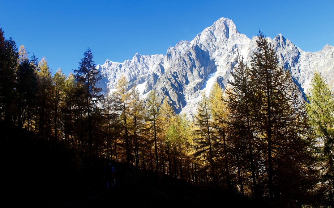 Autunno sotto la Walker