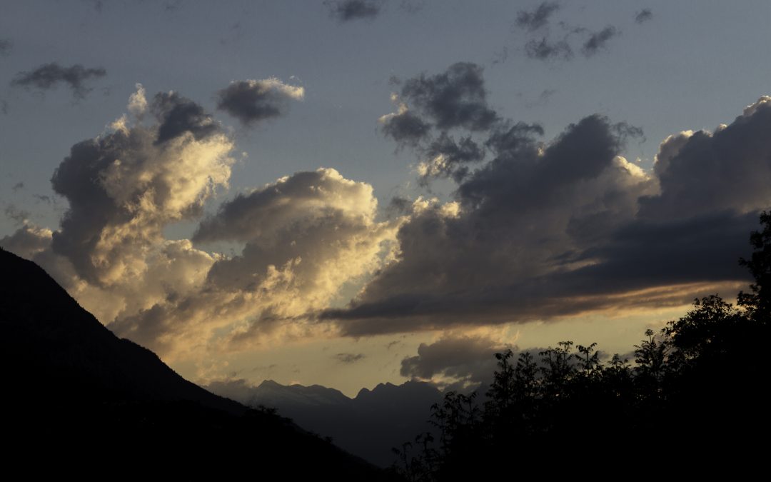 Ombre e luci della sera