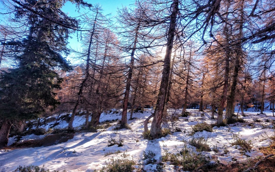 L’ombra di un nuovo inverno.