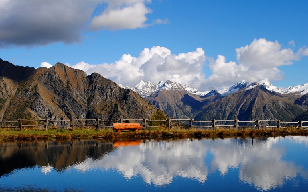 Riflessi