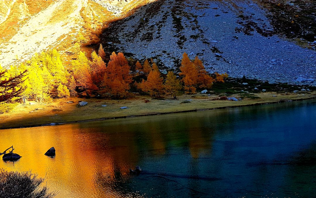 Ombre e Luci D’Autunno