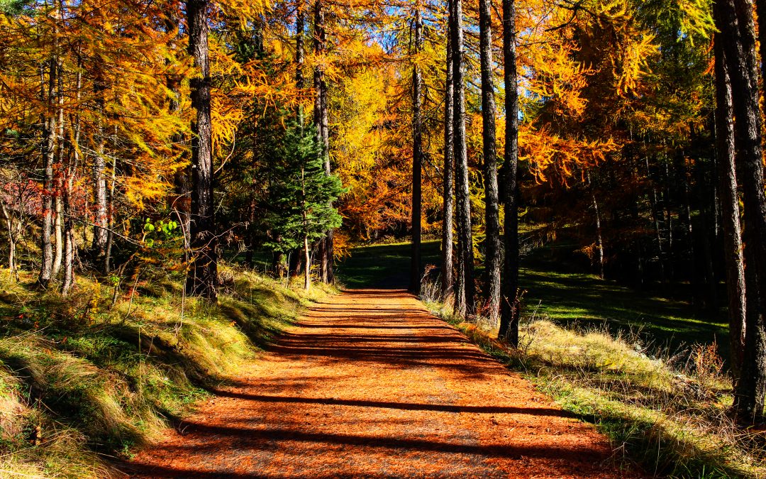 Tra ombra e luce