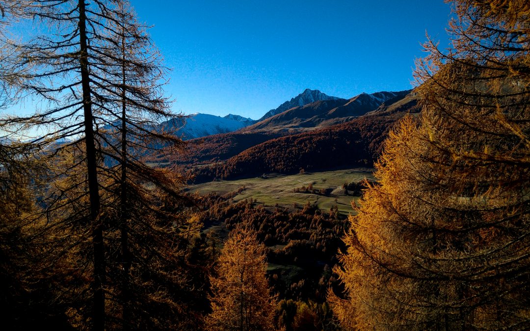 Magia d’autunno
