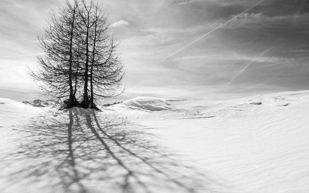 Ombre e neve