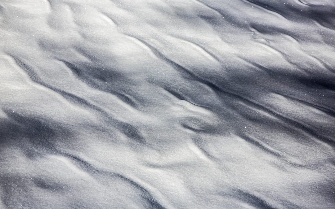 Ombre sulla neve