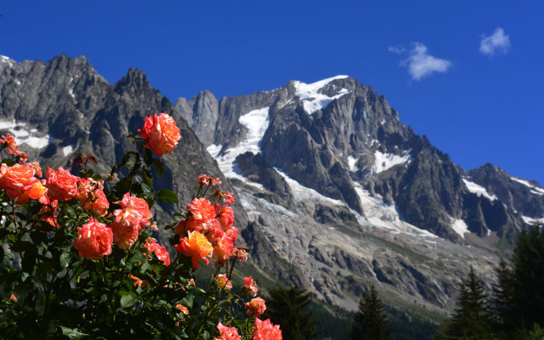 Les Grandes Jorasses