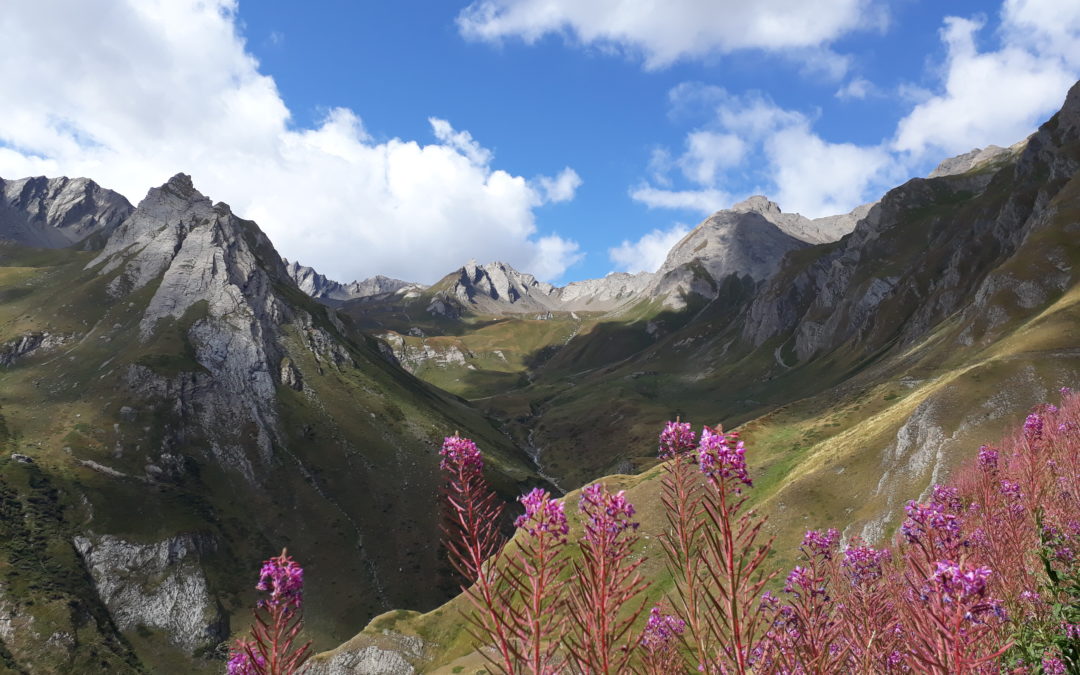 La natura femminilità