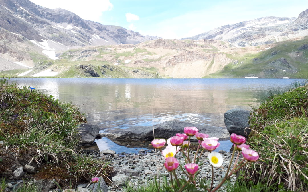 L’arrivo dell’estate in “Paradiso”