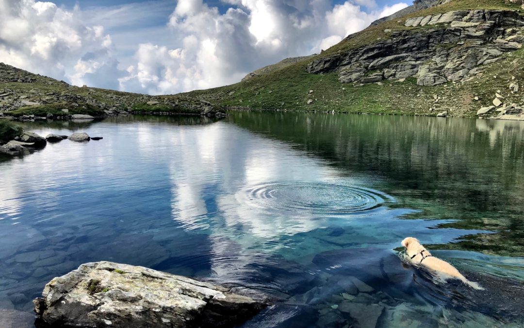 La serenità in uno specchio d’acqua