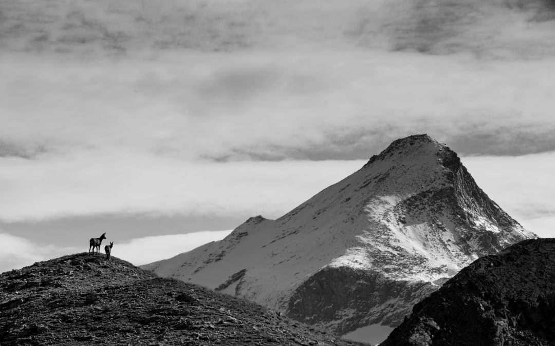 Mother and son (“Un giorno tutto questo sarà tuo”)