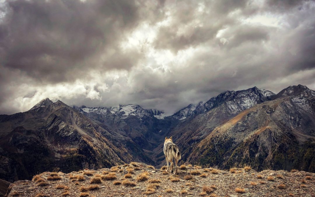 La ‘Signora’ delle cime.
