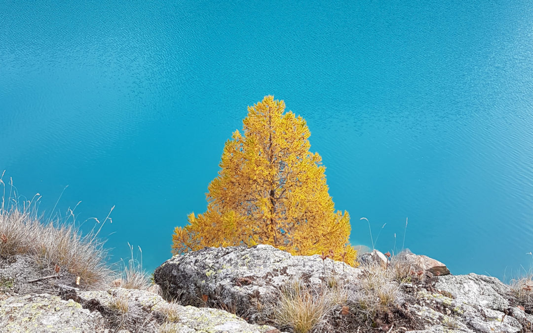 L’acqua che si finge cielo