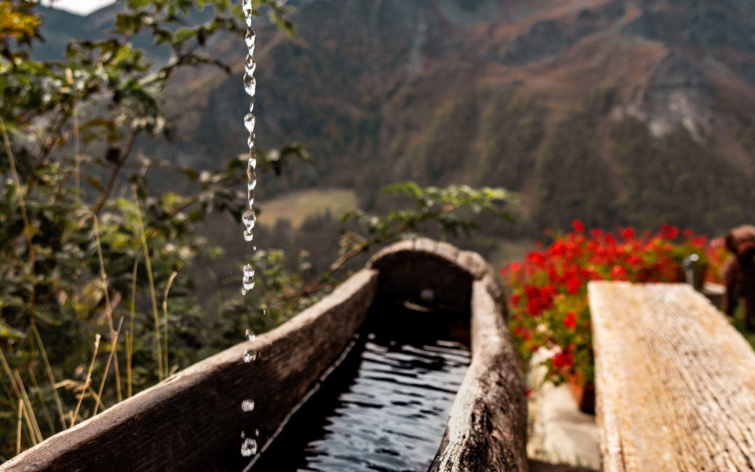 Emozioni in Val d’Ayas