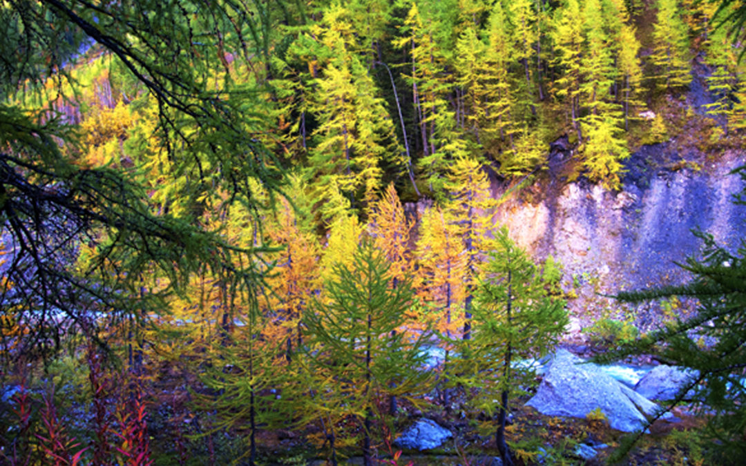 Scendendo dal Combal, Val Veny