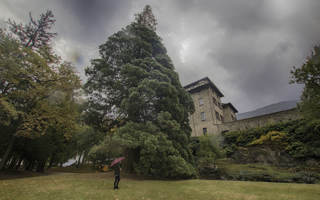 Il Baron Gamba e la sua Dama