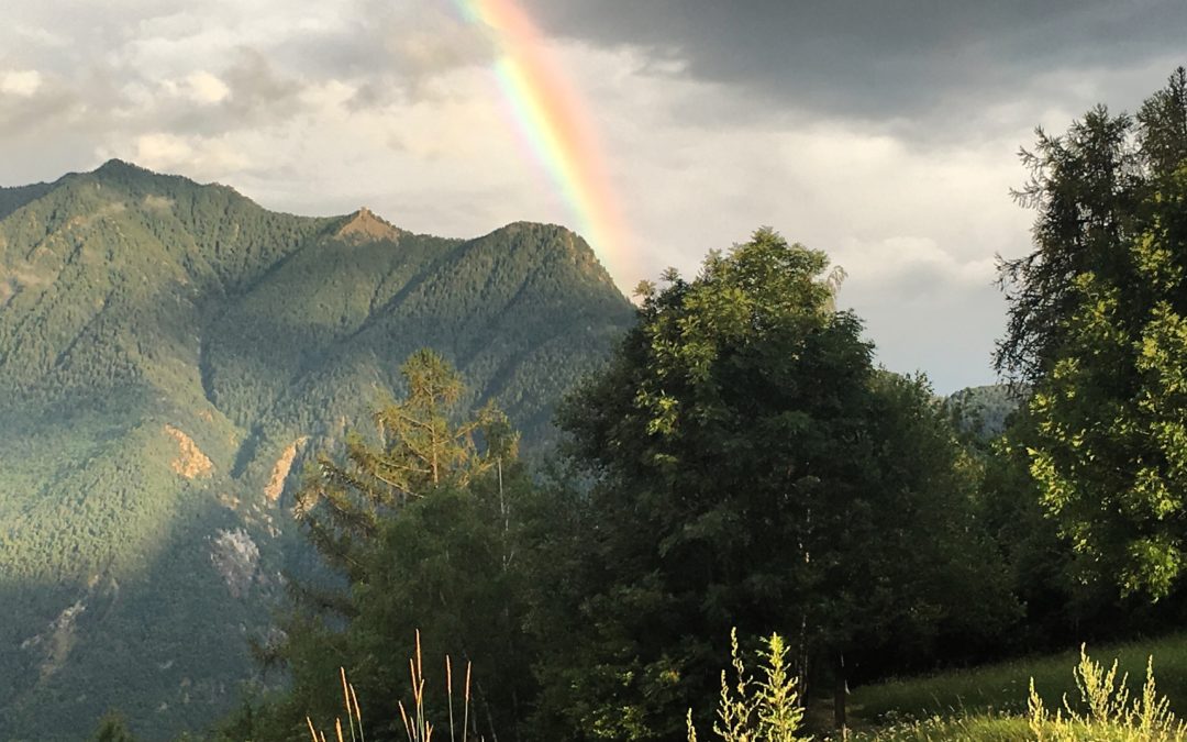 La quiete dopo il temporale