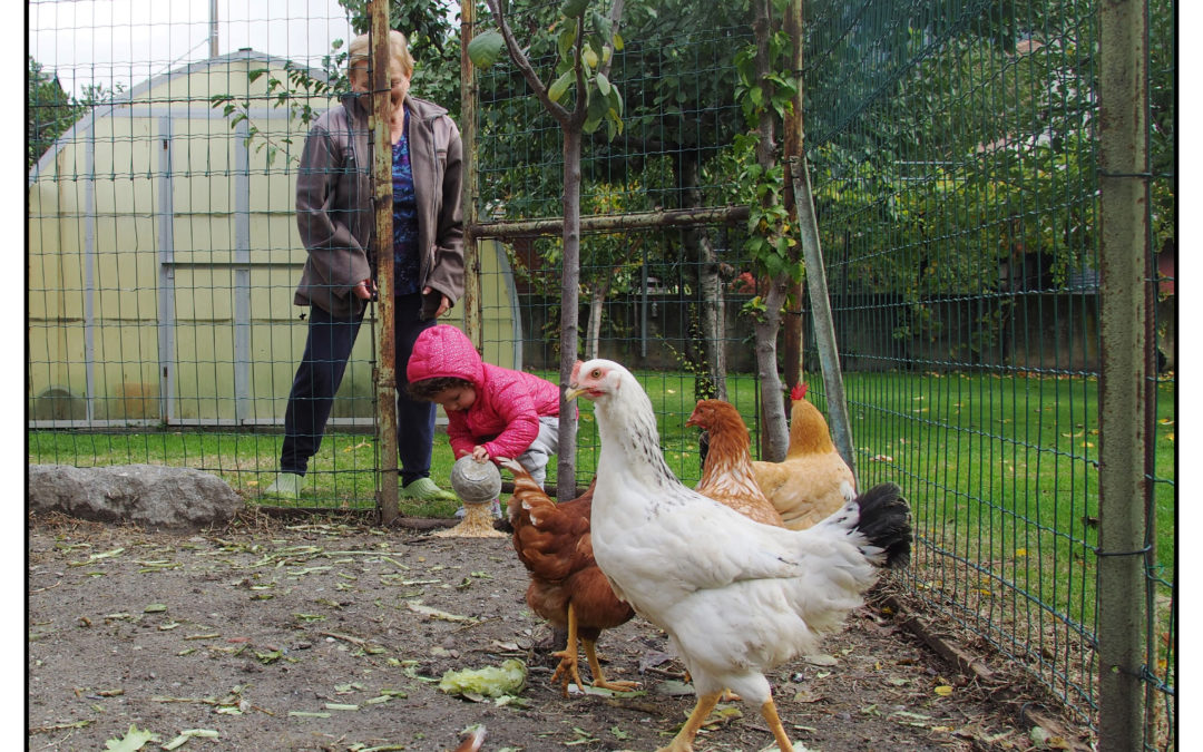 Prime collaborazioni tra nonna e nipotina