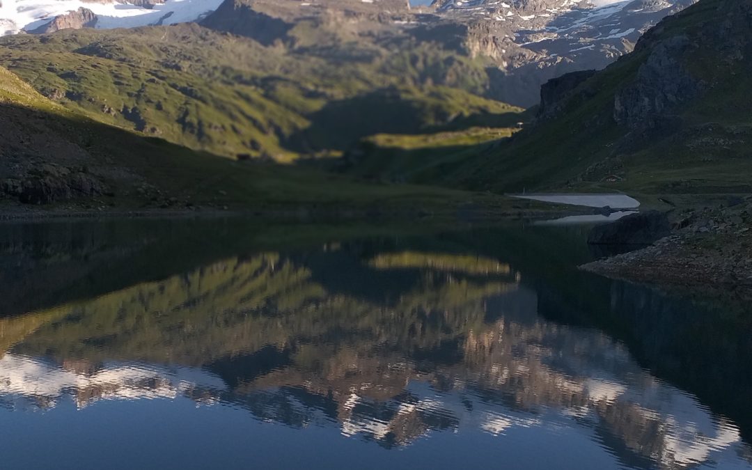 Questione di riflessi