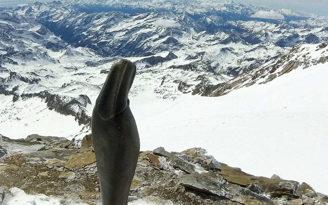 Lei, la Madonnina delle Vette