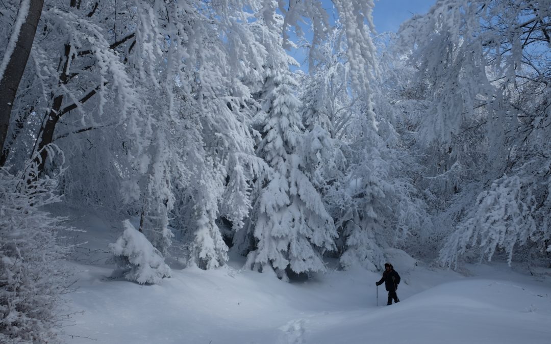 Mondo magico e incantato
