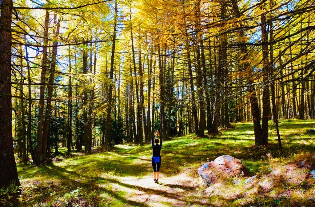 La magica foresta dello yoga