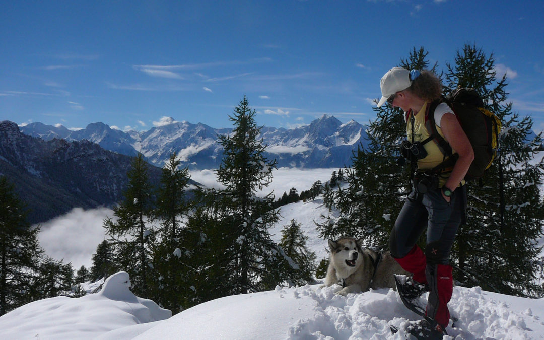 Momenti di incommensurabile felicità